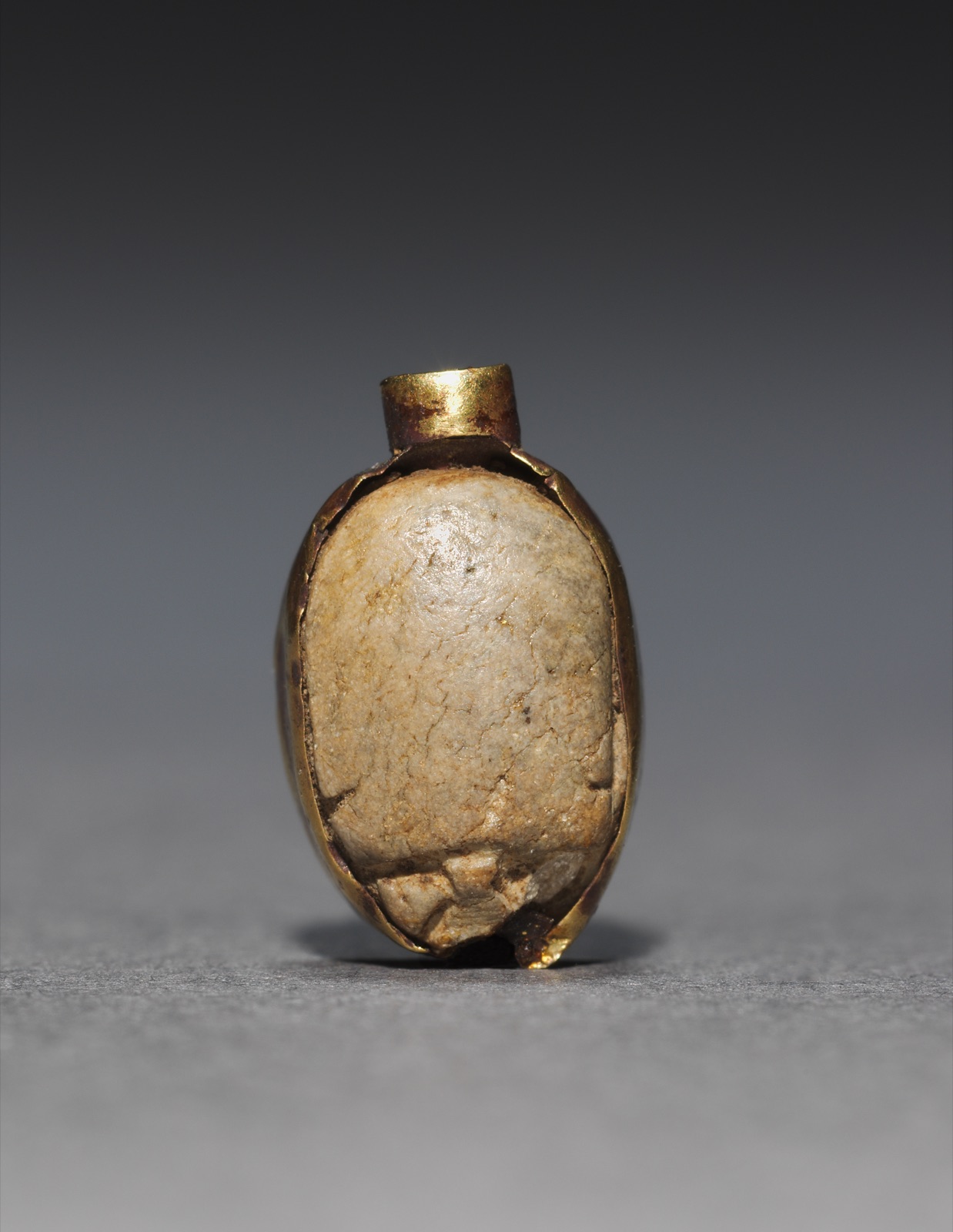 Scarab