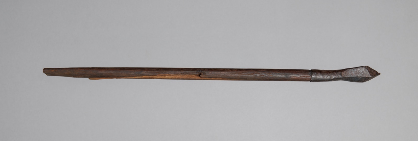 Crossbow Bolt