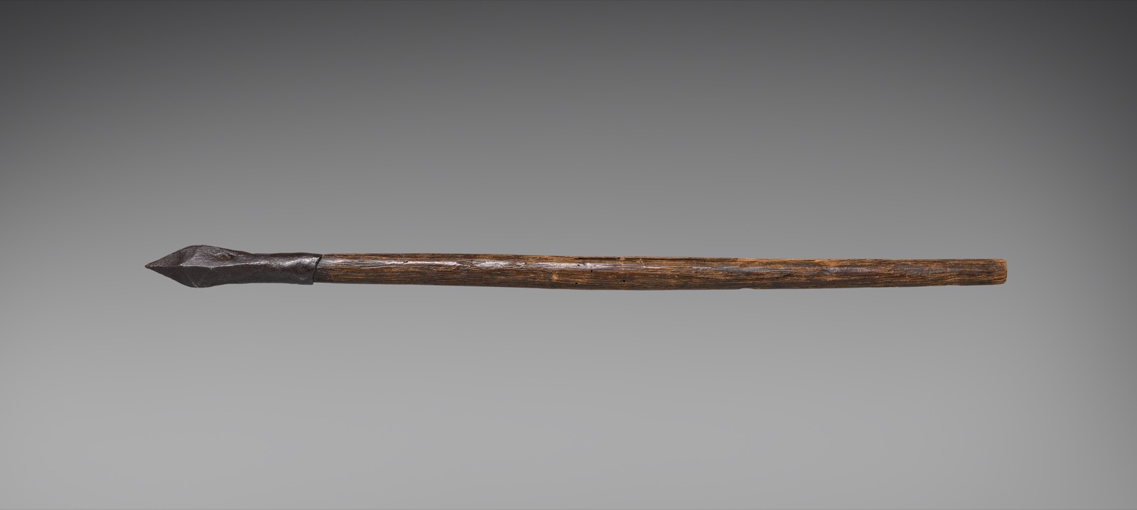 Crossbow Bolt