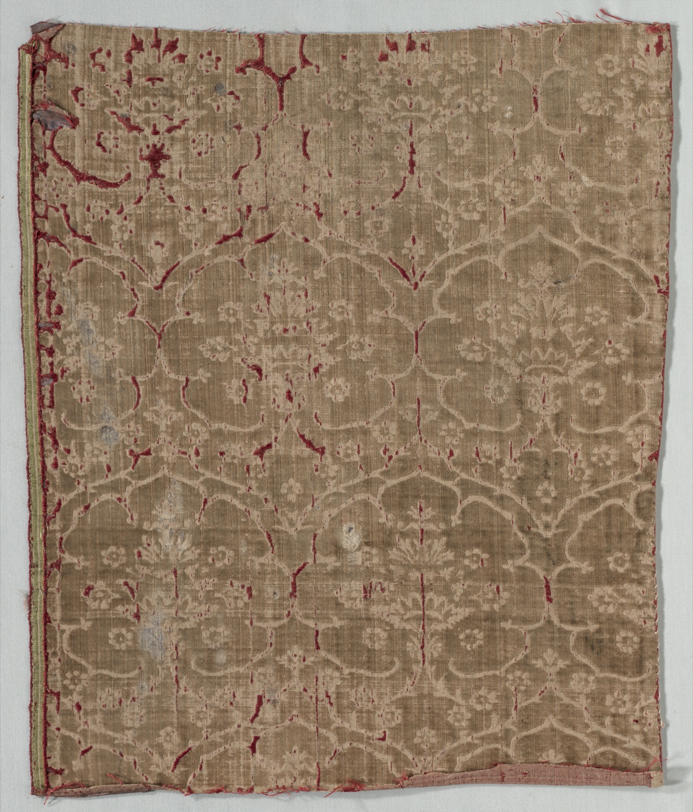 Velvet Fragment