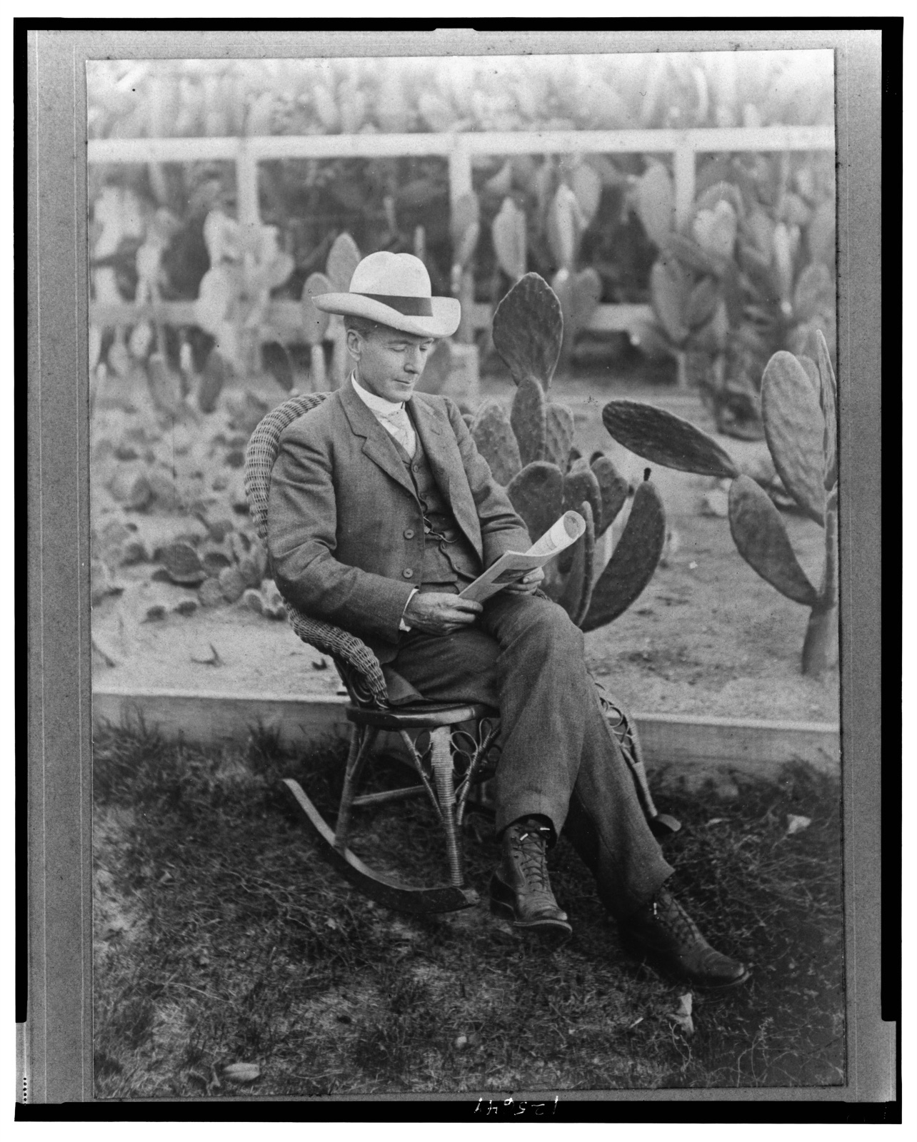 [Luther Burbank, full-length portrait, seated outdoors in a wicker rocking chair, reading, with a field of cactus in the background]