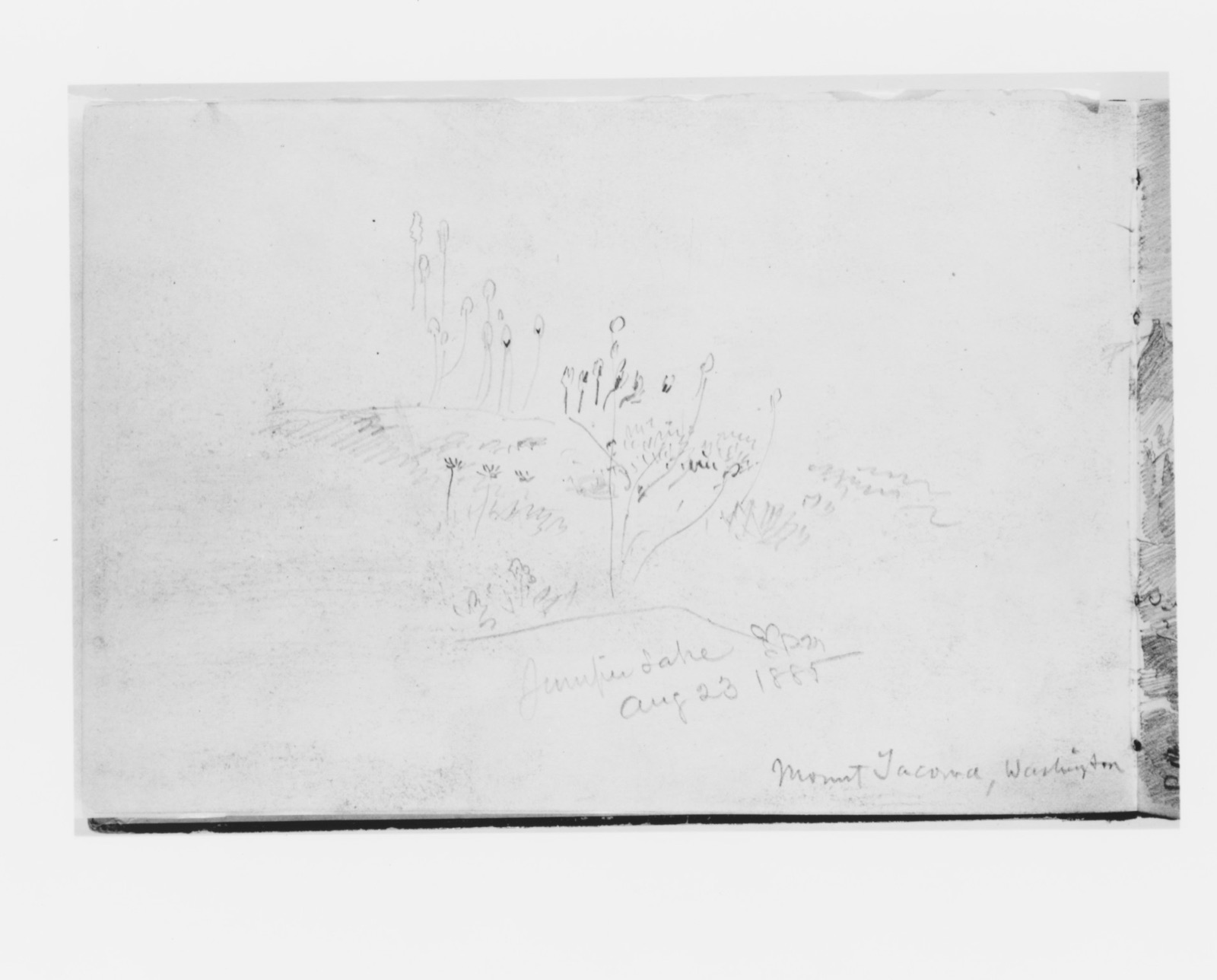 Juniper Lake Aug 23 1885, Mount Tacoma Washington (from Sketchbook X) — William Trost Richards