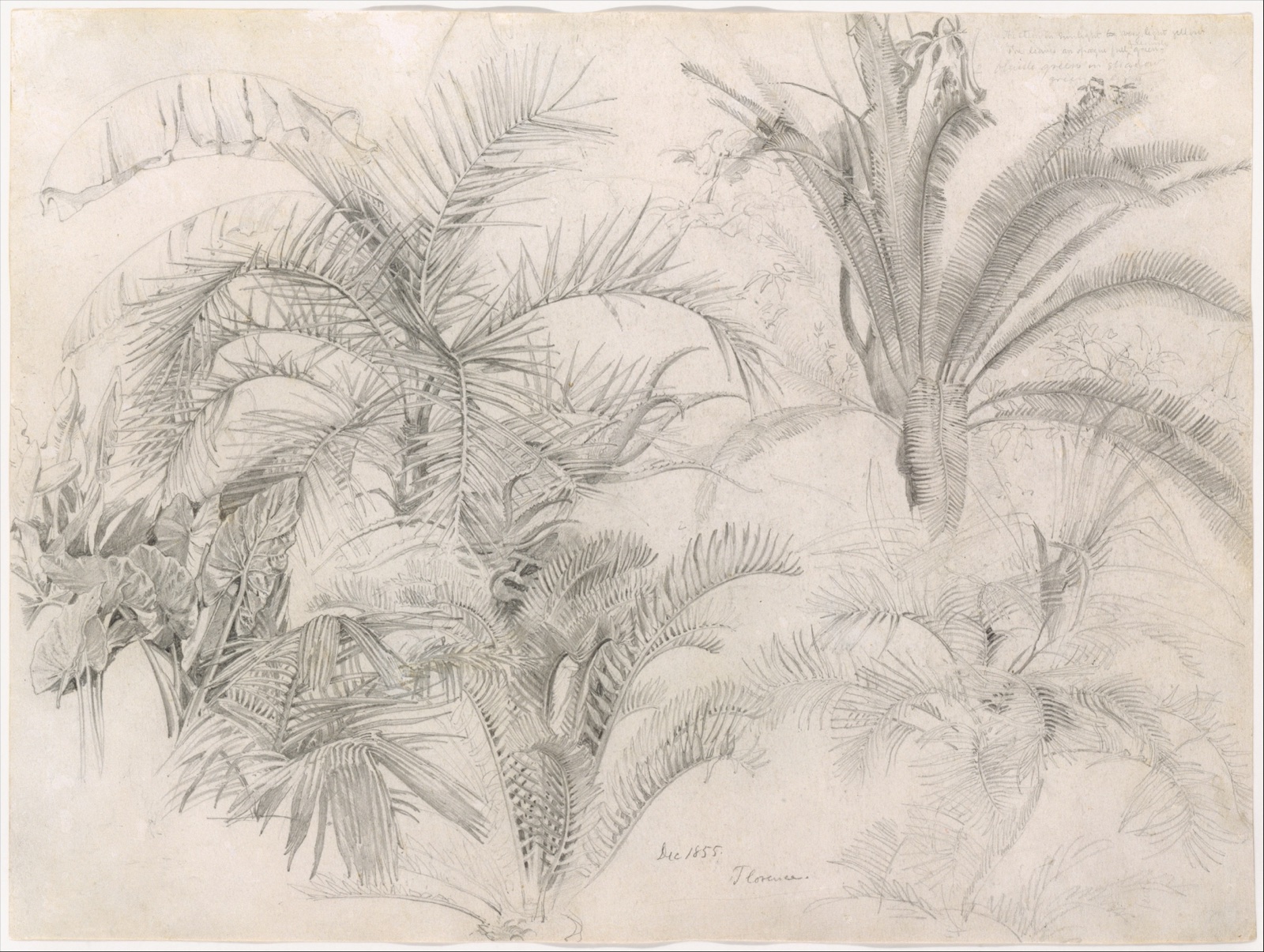 Palms — William Trost Richards