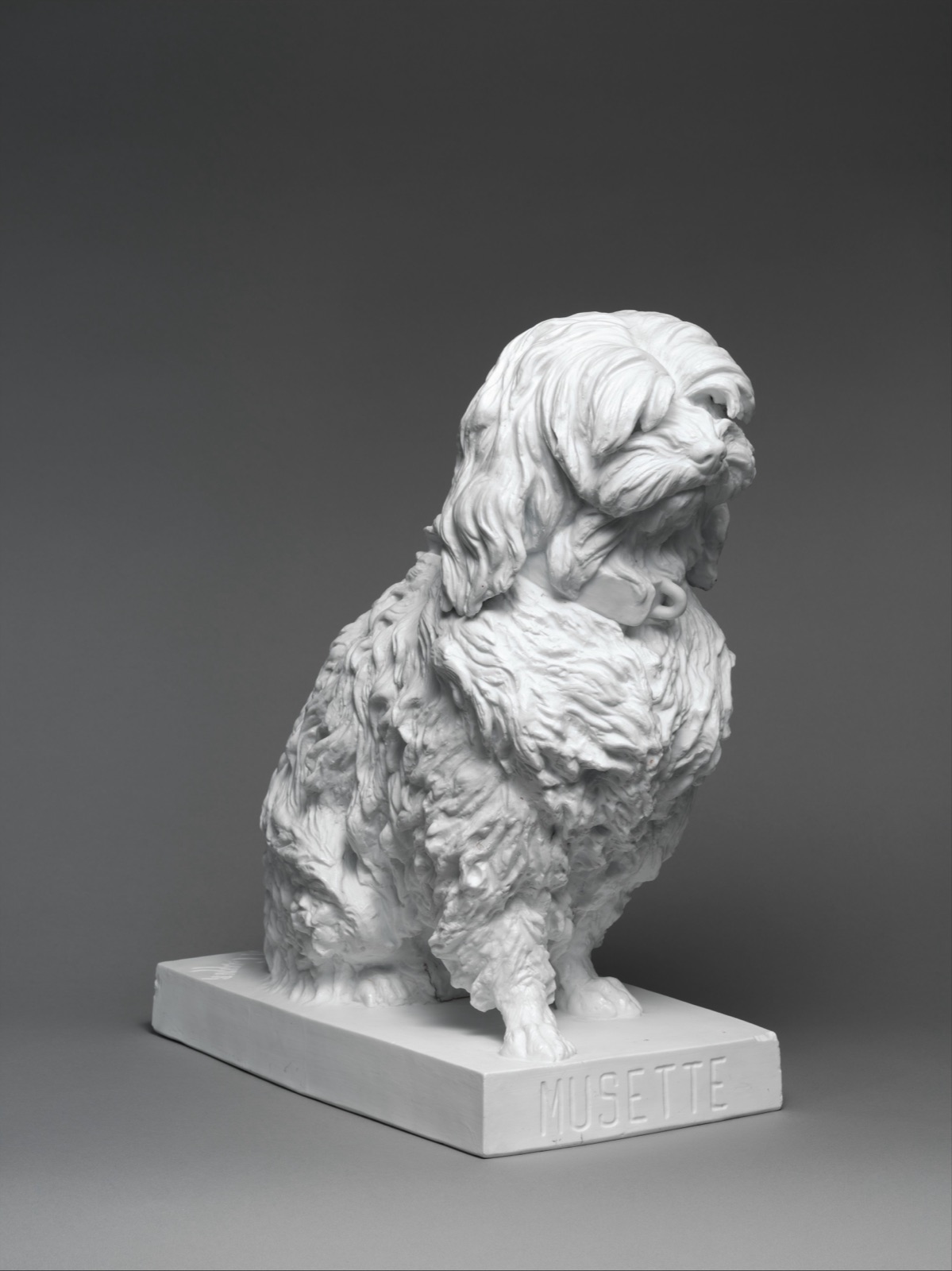 Musette, a Maltese dog — Jean-Baptiste Gille