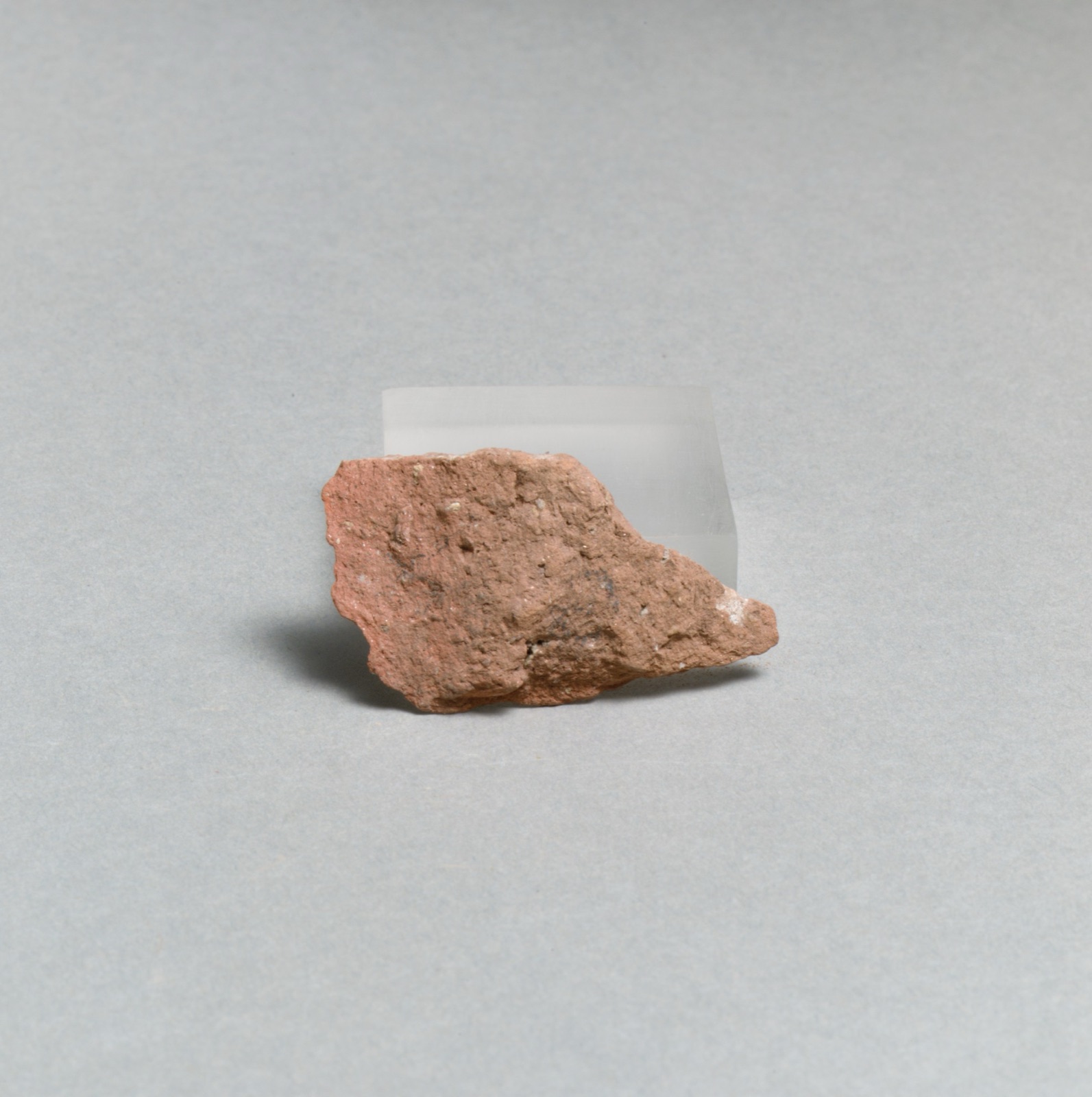 Vase fragment