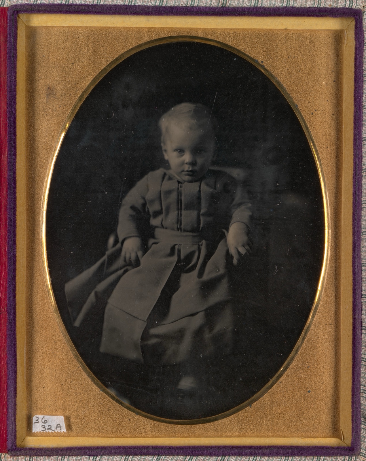 Frederick David Langenheim — W. & F. Langenheim