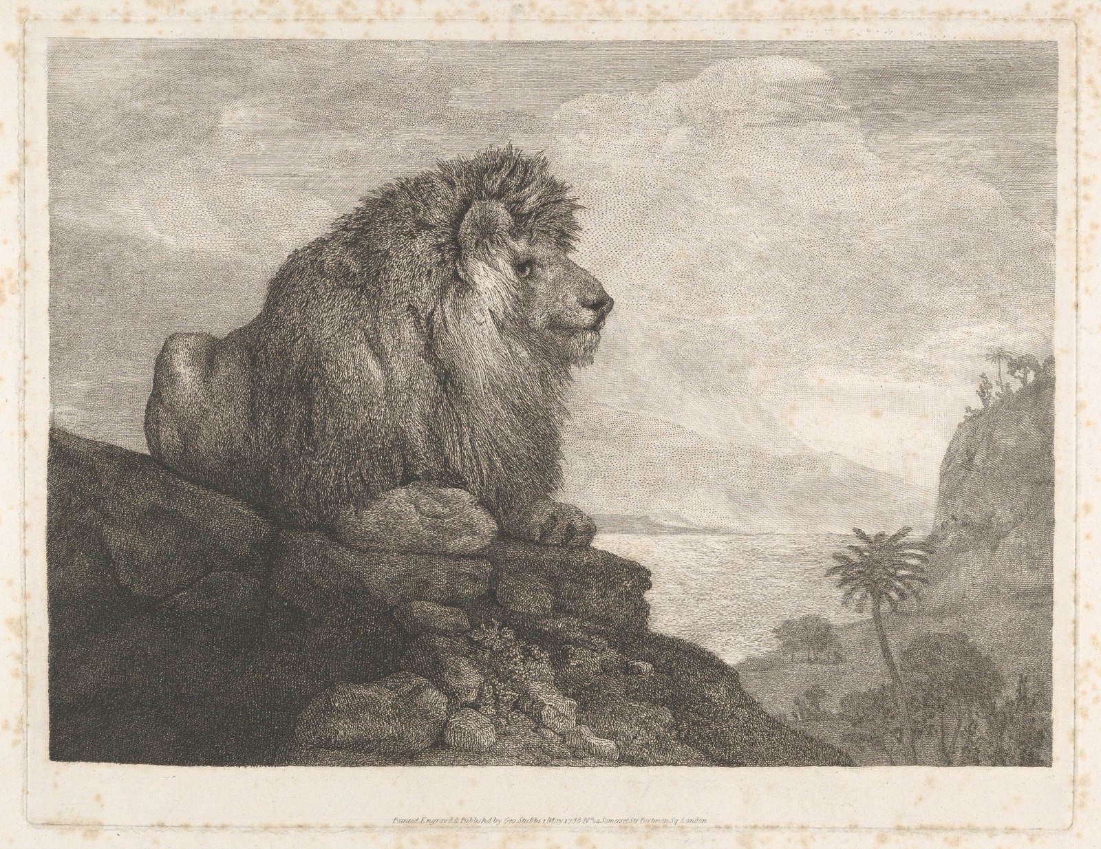 A Lion (A Lion Resting on a Rock) — George Stubbs