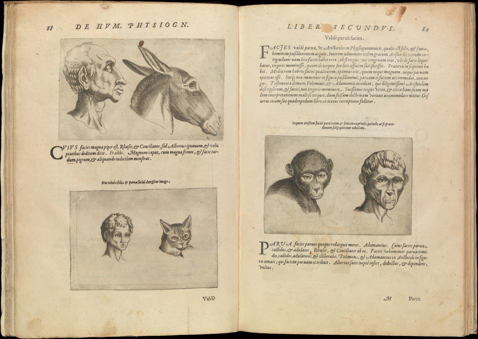 De Humana Physiognomonia. Libri III — Giovanni Battista della Porta