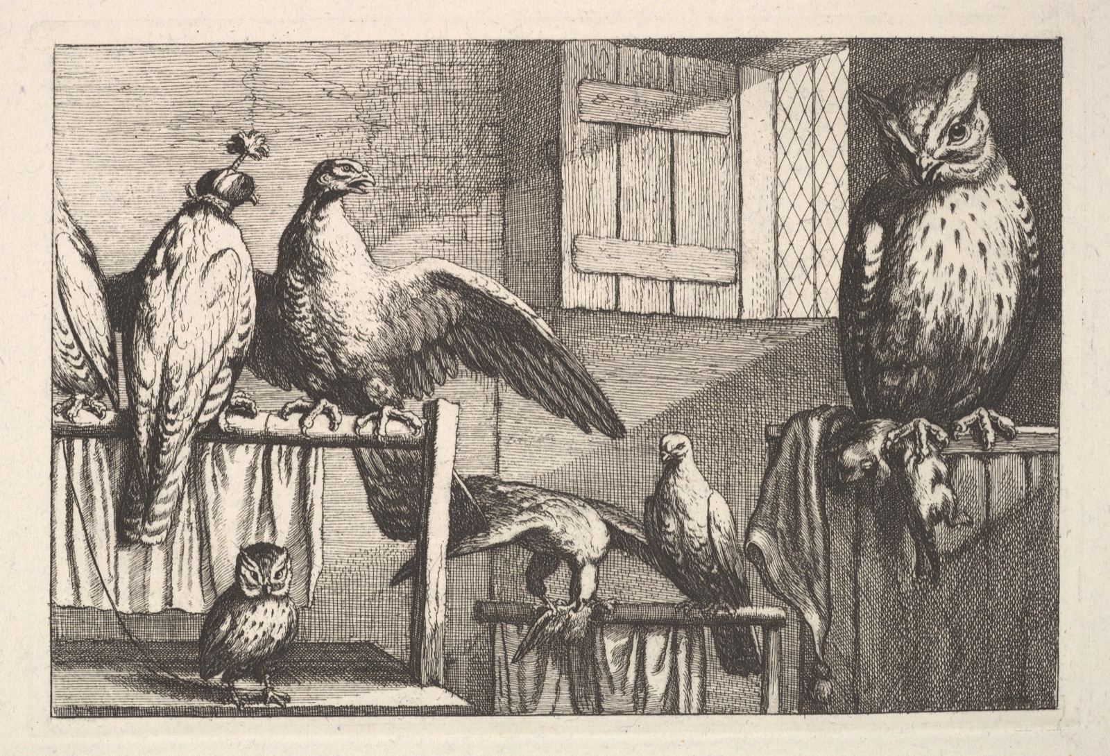 Hawks and owls — Wenceslaus Hollar