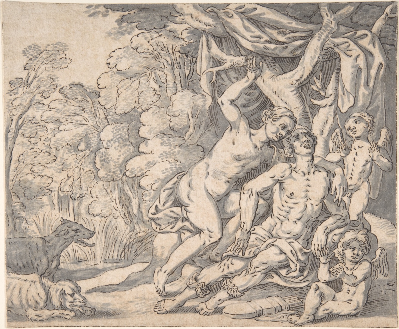 The Death of Adonis — Johann König