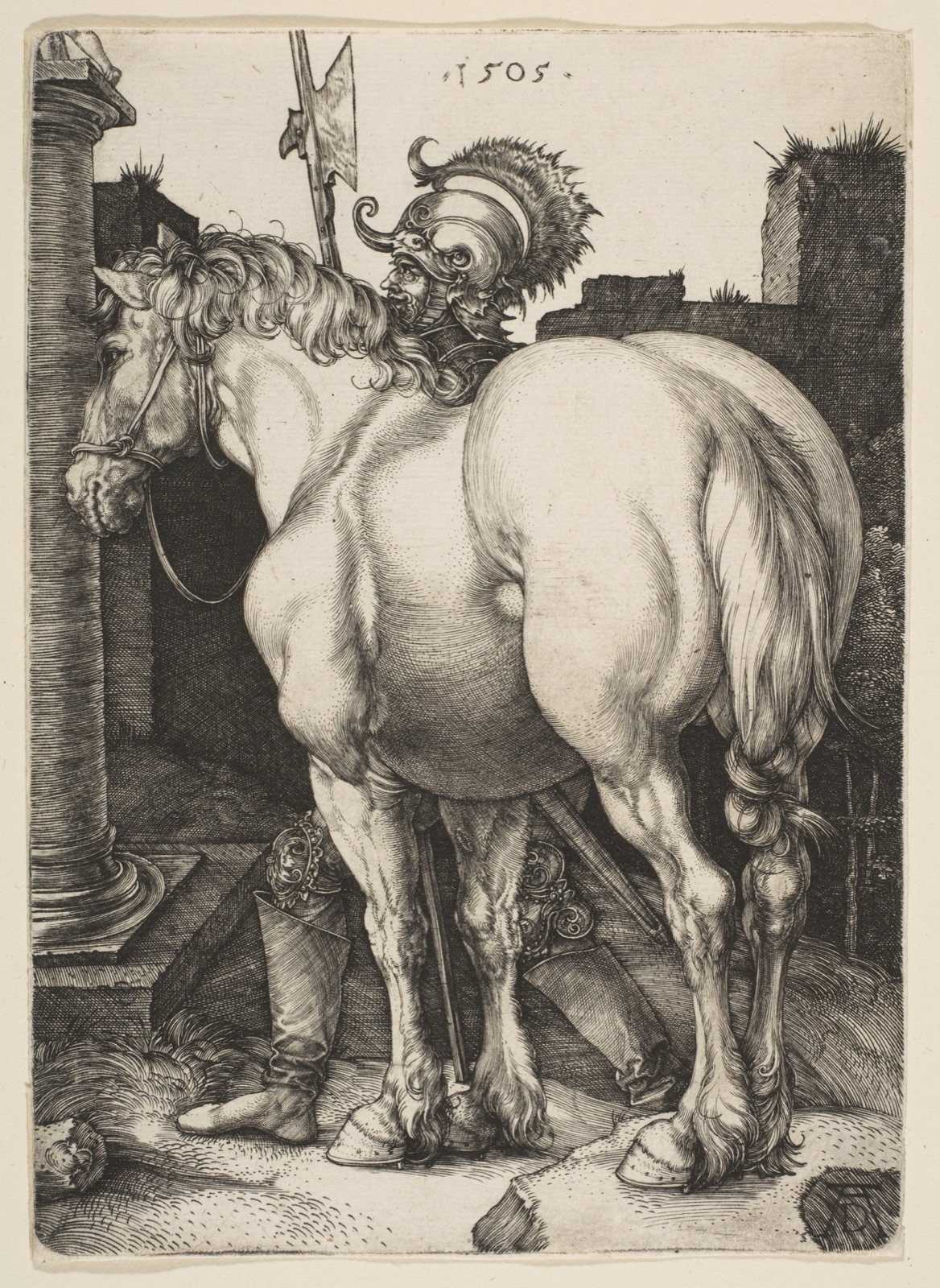 The Large Horse — Albrecht Dürer
