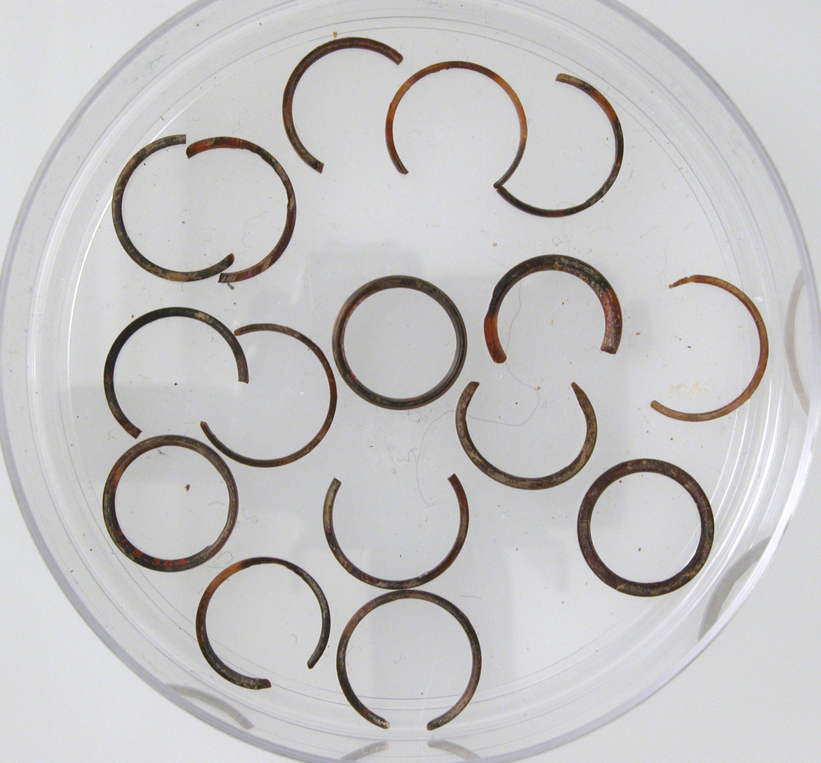 Rings and Ring Fragments