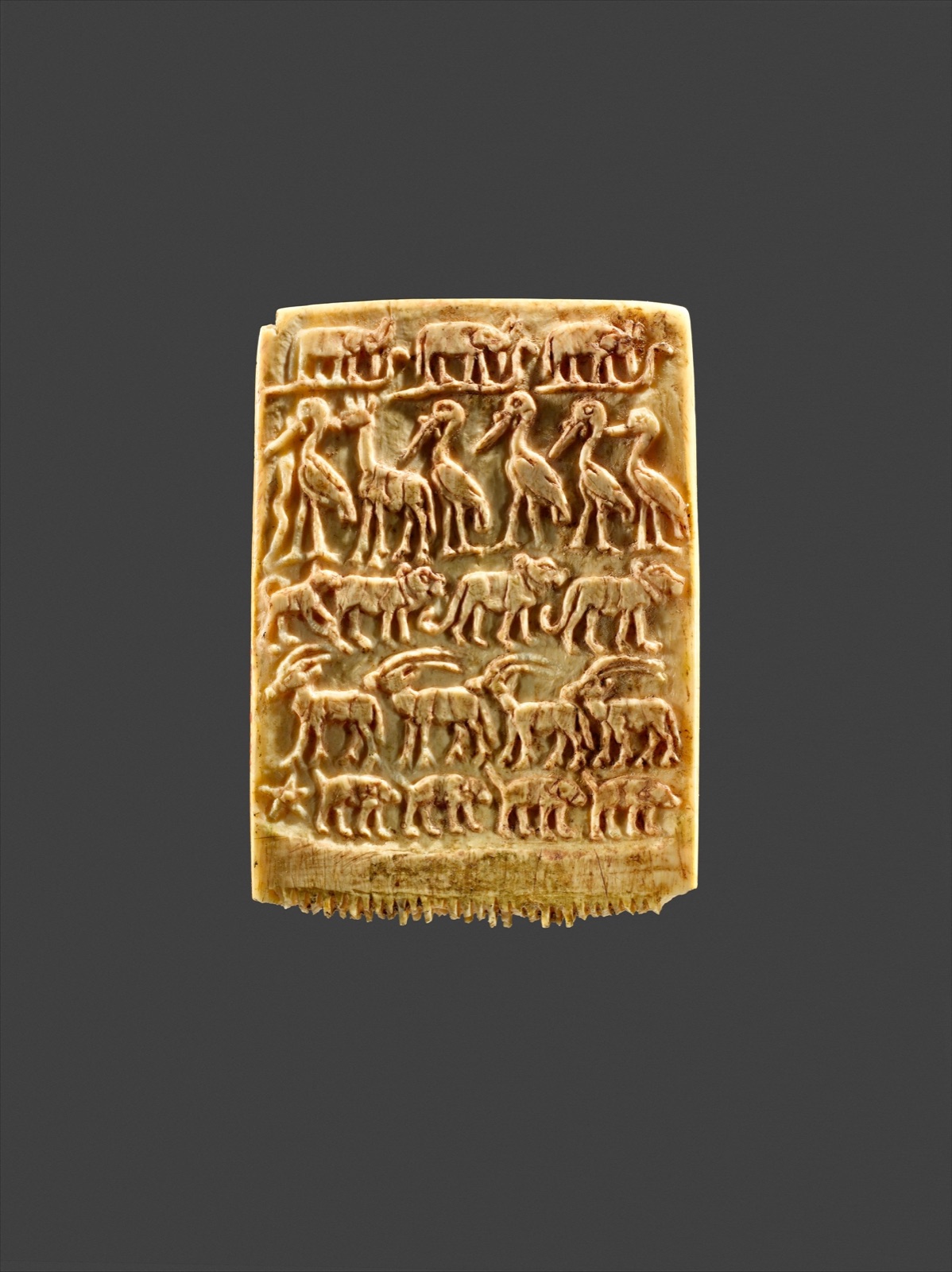 Hair Comb Decorated with Rows of Wild Animals