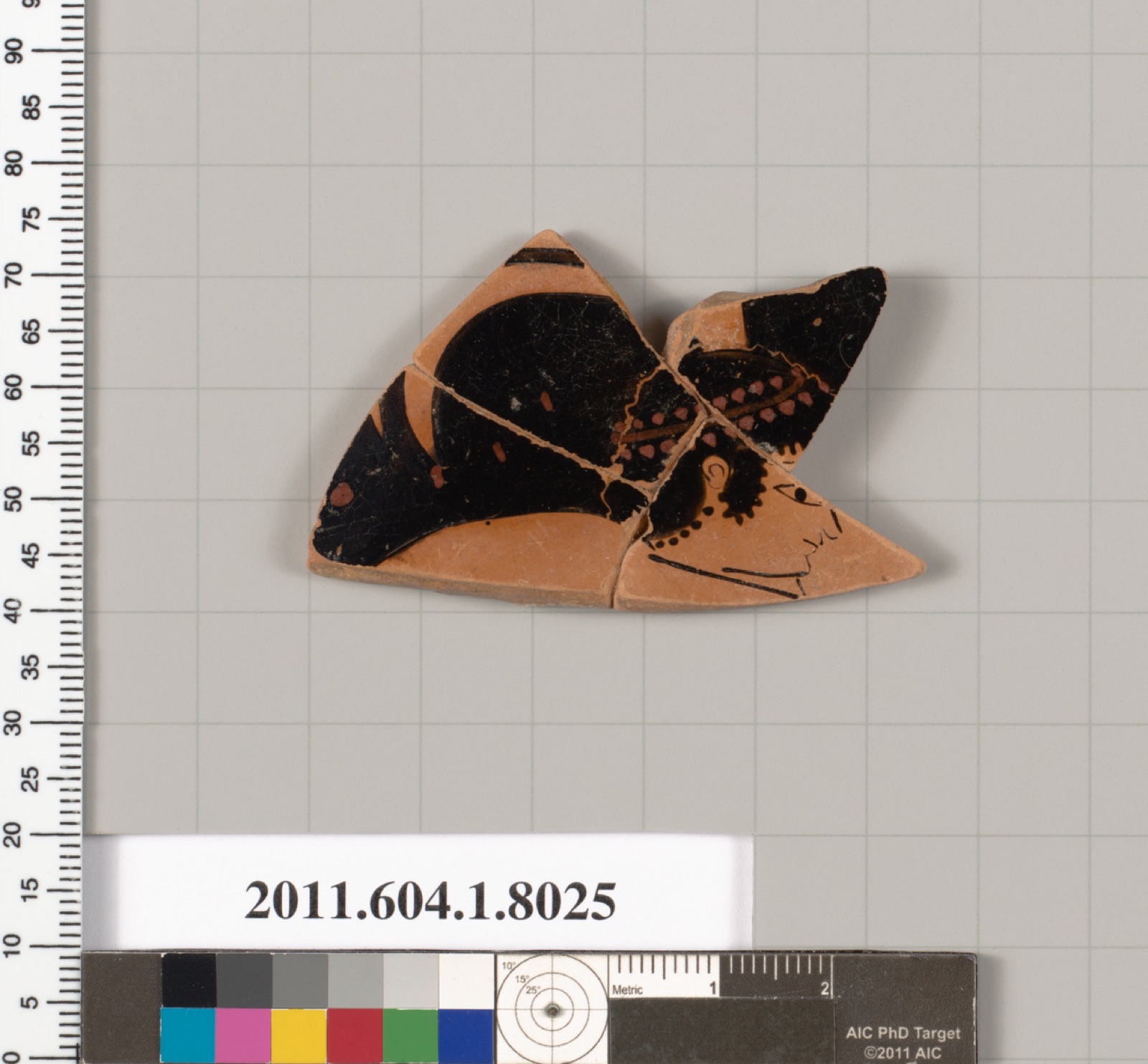 Terracotta fragment of a kylix (drinking cup)