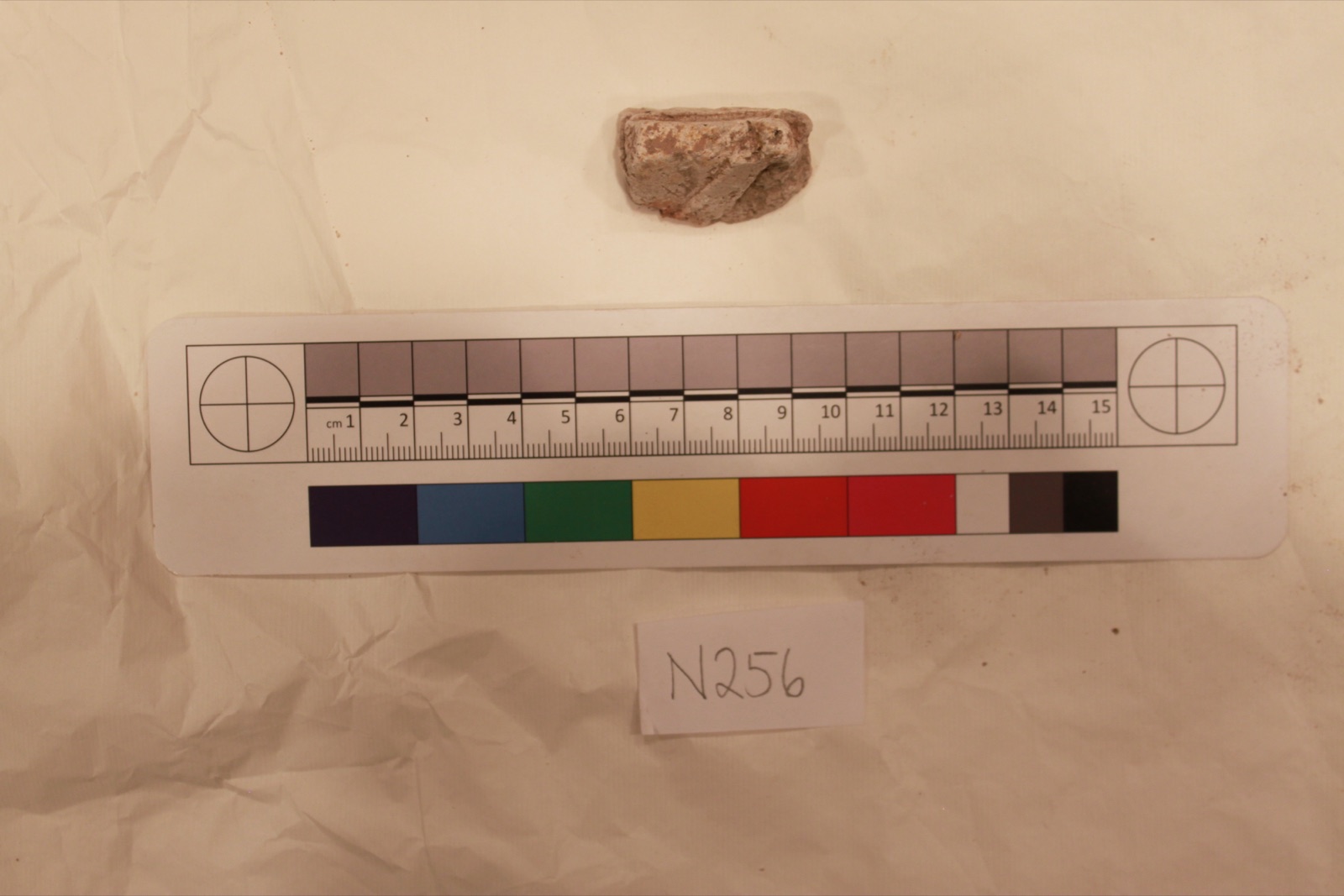 Stucco Fragment
