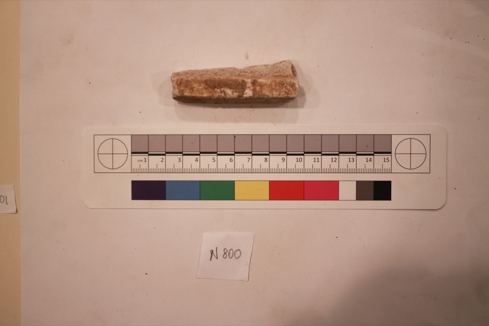 Stucco Fragment