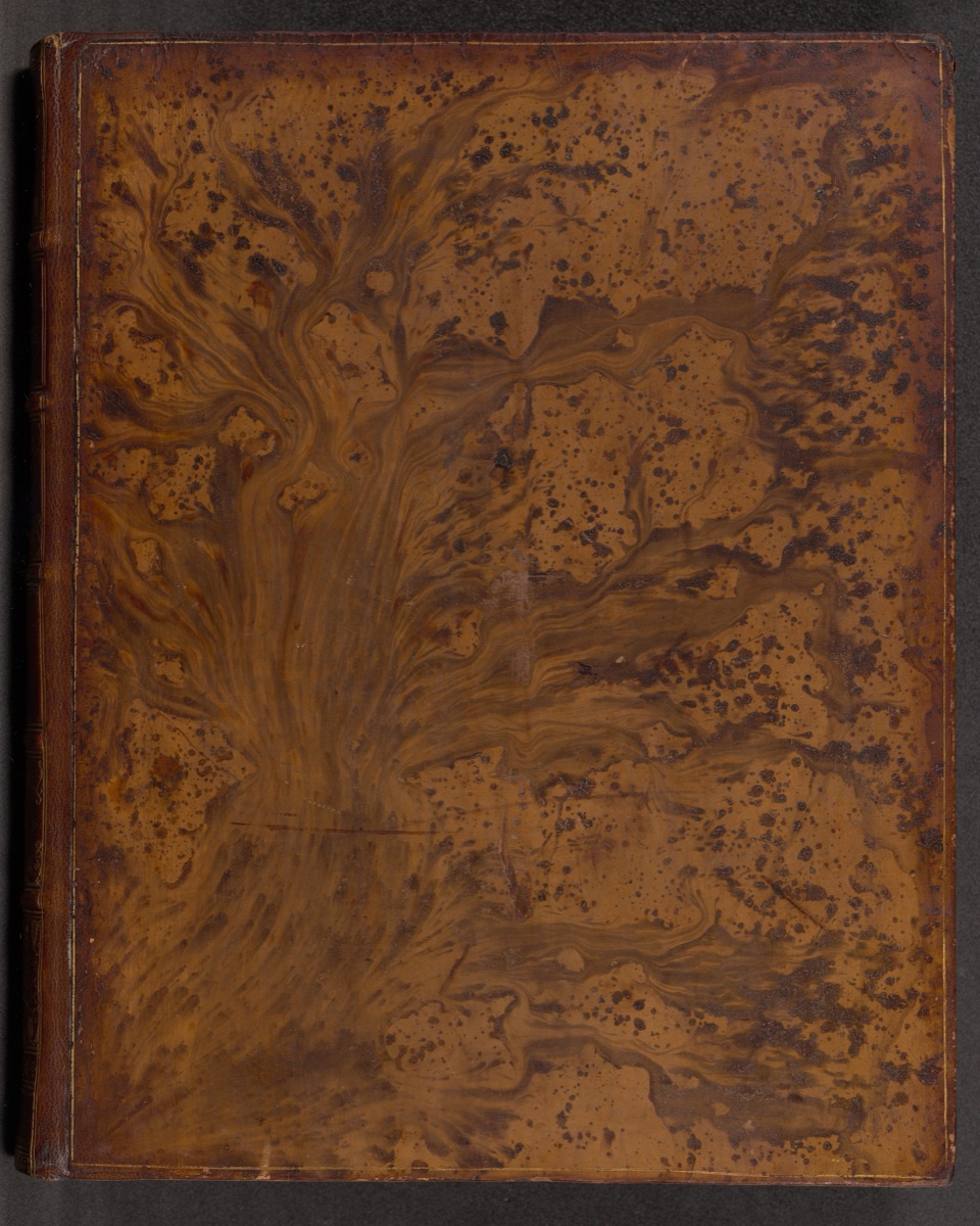 Vida y Hechos del Ingenioso Hidalgo Don Quixote de la Mancha (volume 2) — Miguel de Cervantes Saavedra (author), with one Anonymous British XVIII artist, and George Vertue, Bernard Baron and Gerard Vandergucht after John Vanderbank, and George Vertue after G. Kent (?)