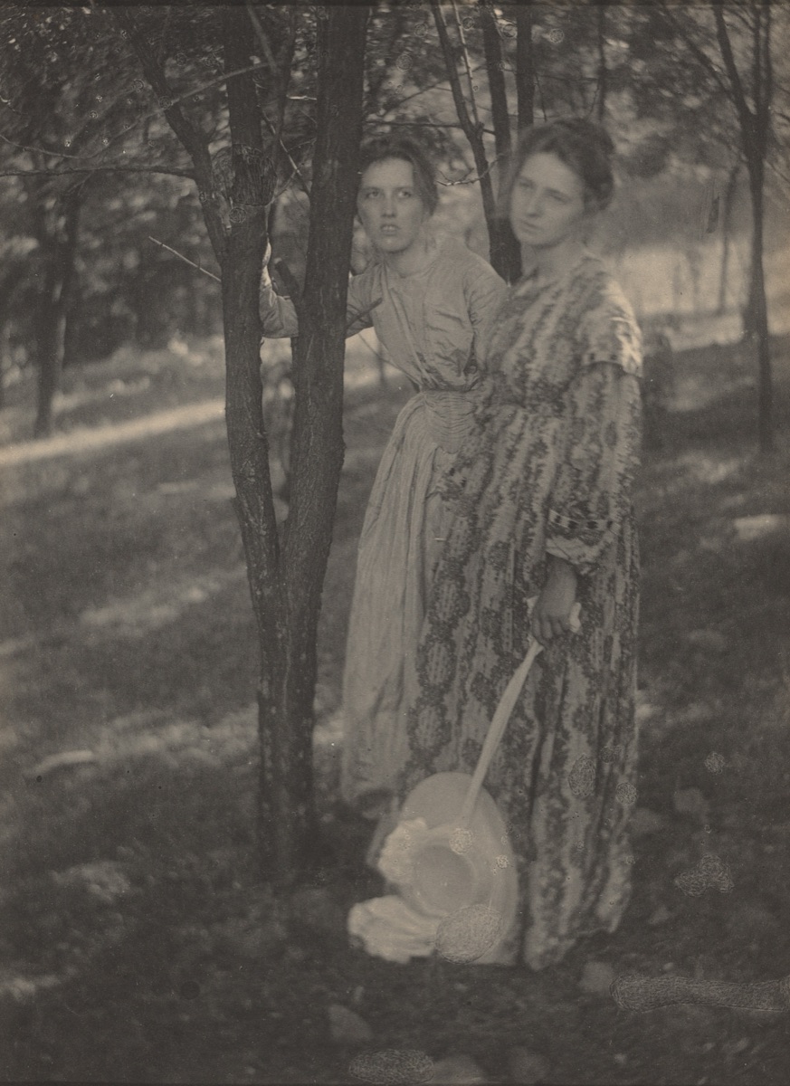 In the Woods — T. M. Edmiston