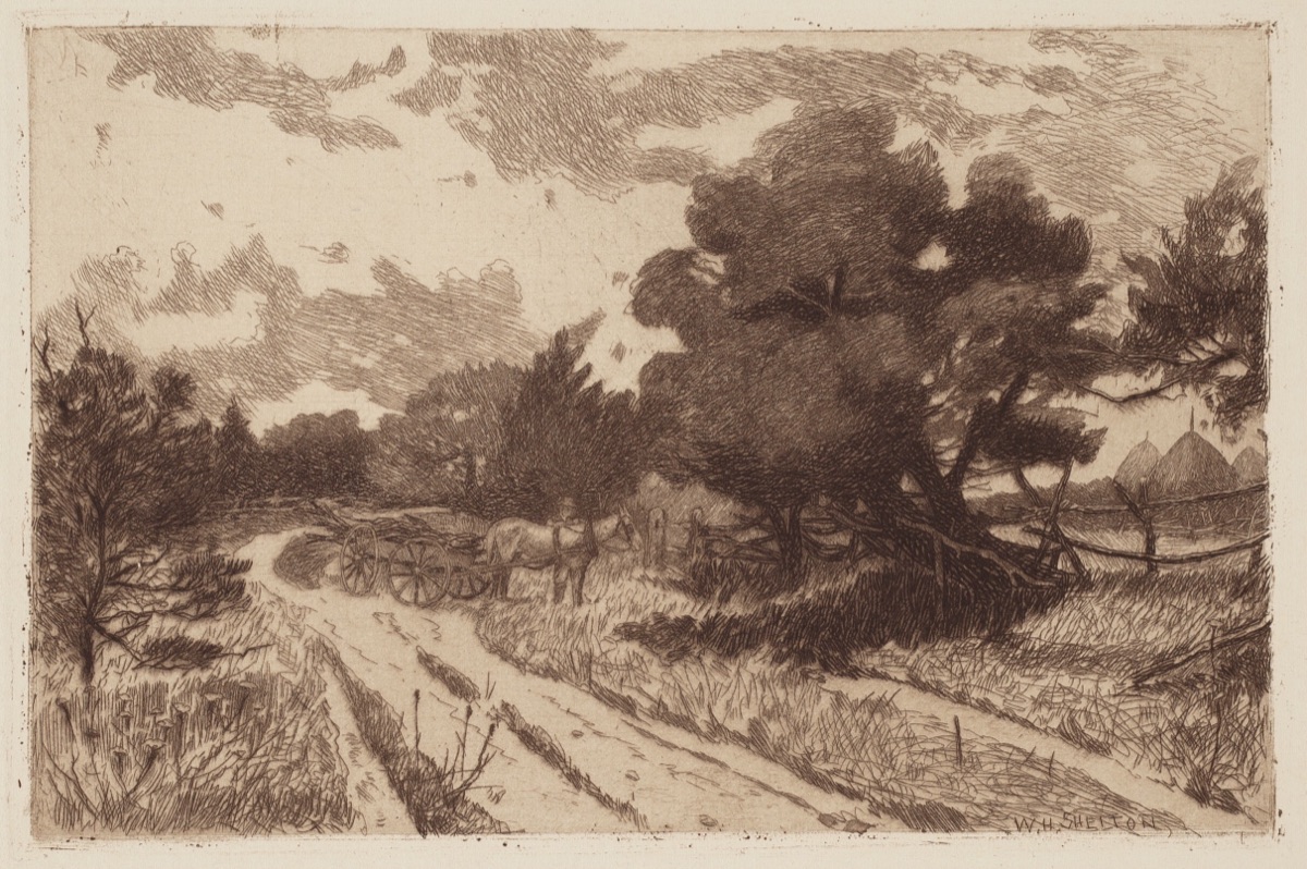 A Long Island Road — William Henry Shelton
