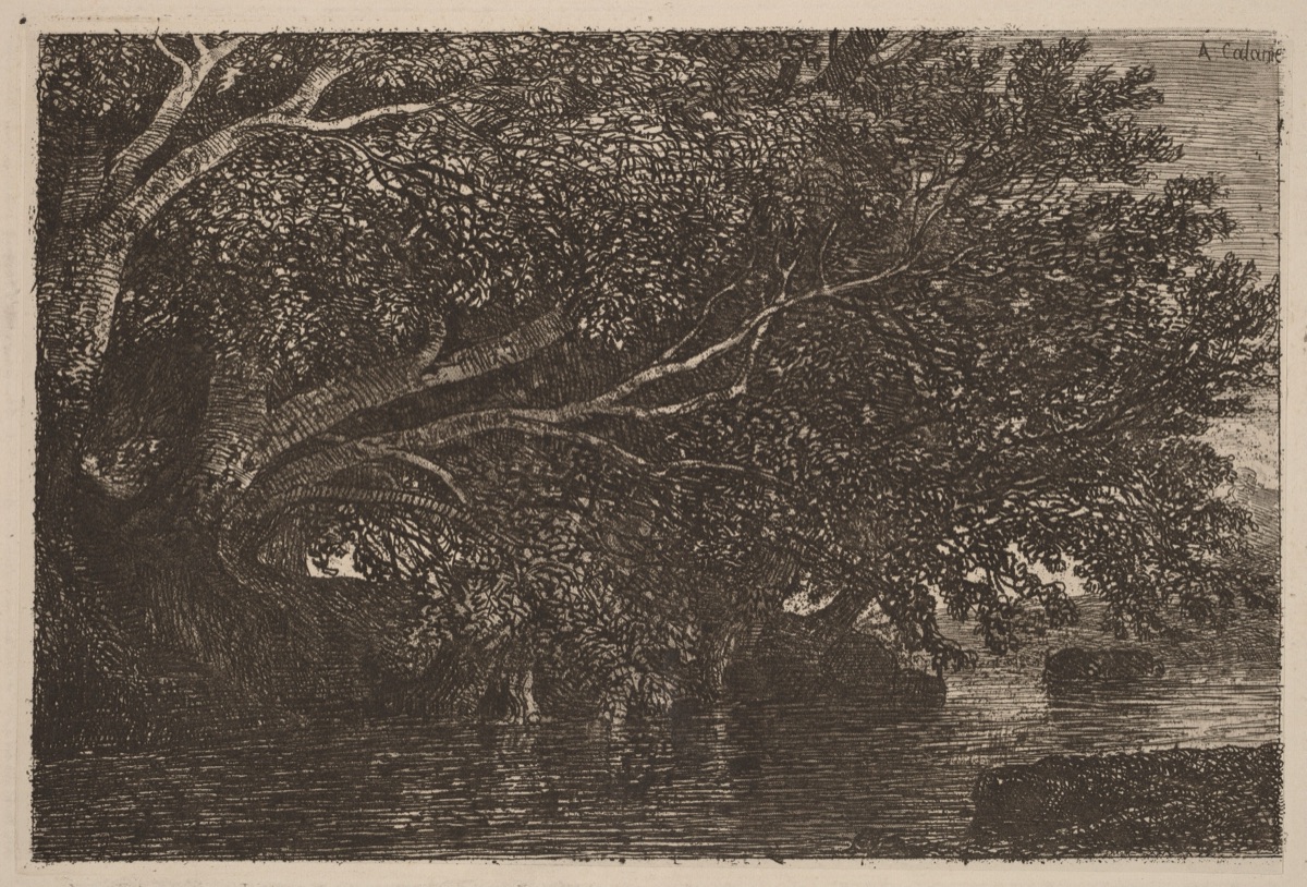 Trees Overhanging a Pond — Alexandre Calame