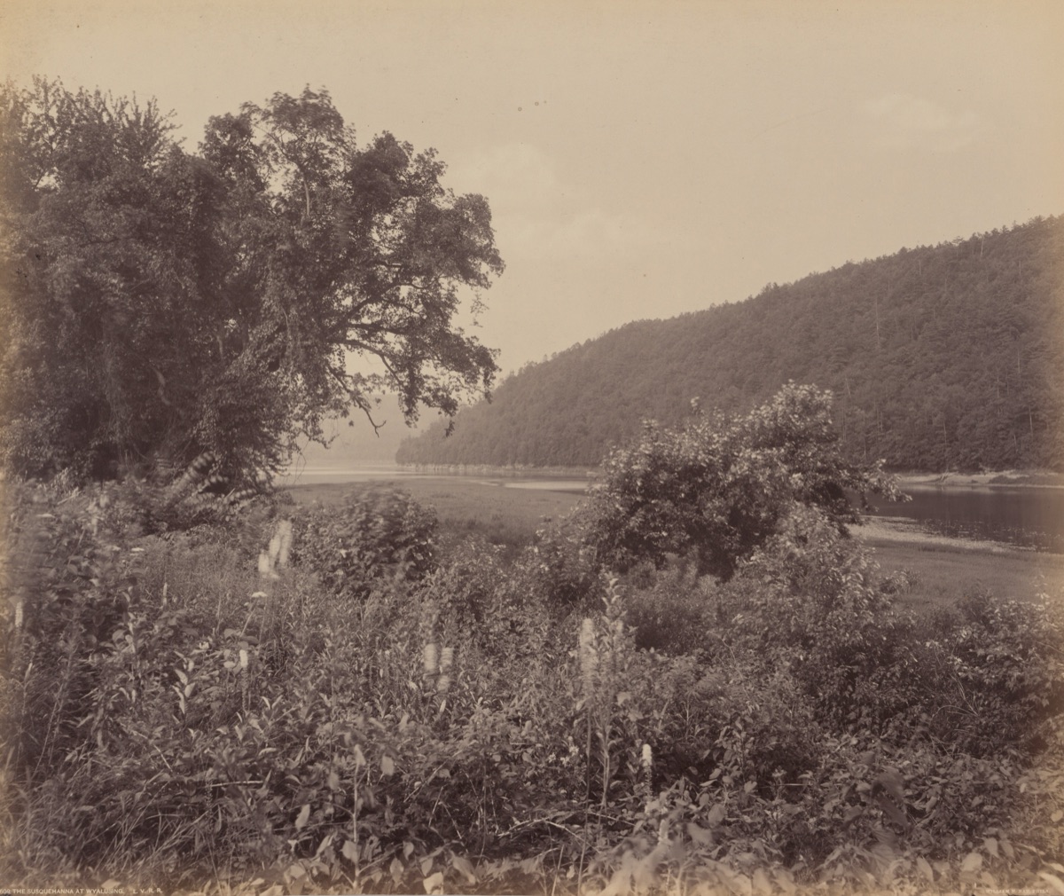 The Susquehanna At Wyalusing — William H. Rau
