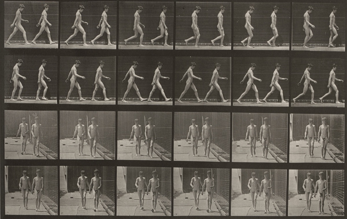 Plate Number 12. Walking — Eadweard Muybridge