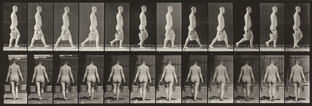 Plate Number 30. Walking and carrying a bucket of water in each hand — Eadweard Muybridge