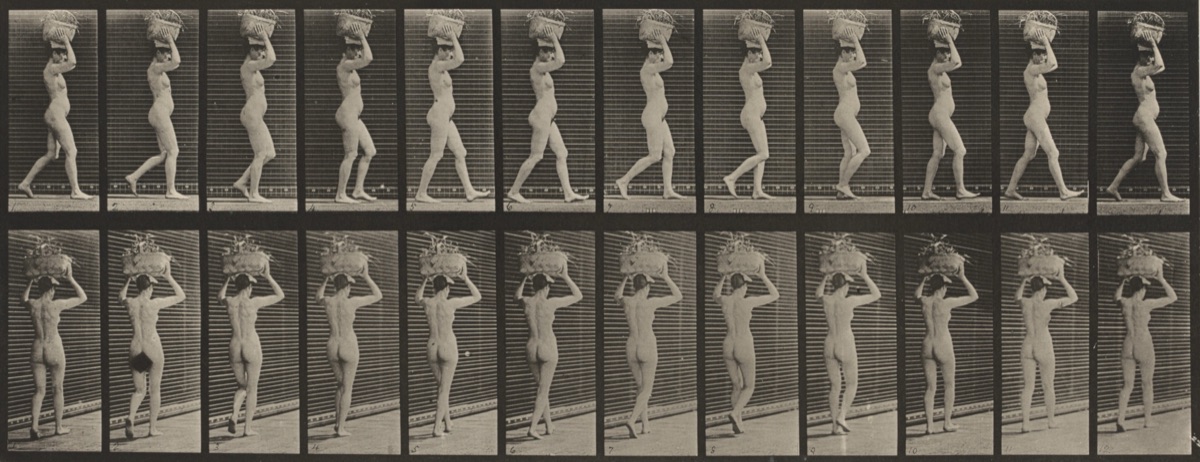 Plate Number 33. Walking and carrying a 14-lb. basket on head, hands raised — Eadweard Muybridge