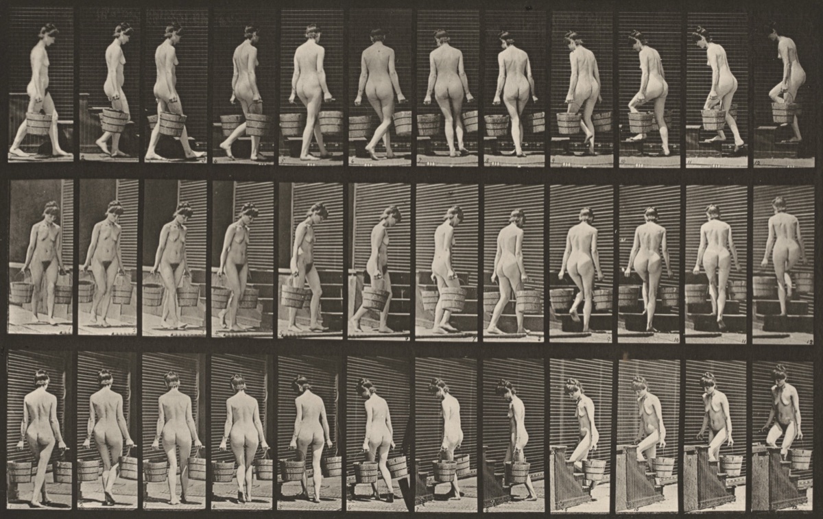 Plate Number 104. Turning and ascending stairs with a bucket of water in each hand — Eadweard Muybridge