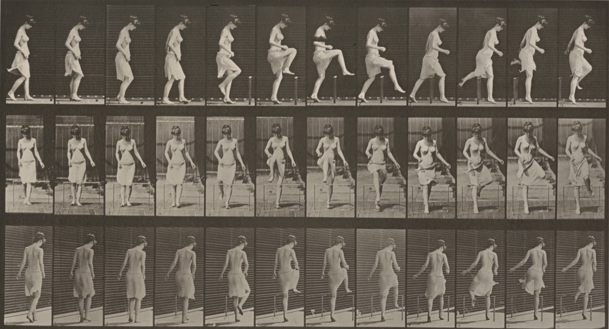 Plate Number 181. Stepping over a fence — Eadweard Muybridge