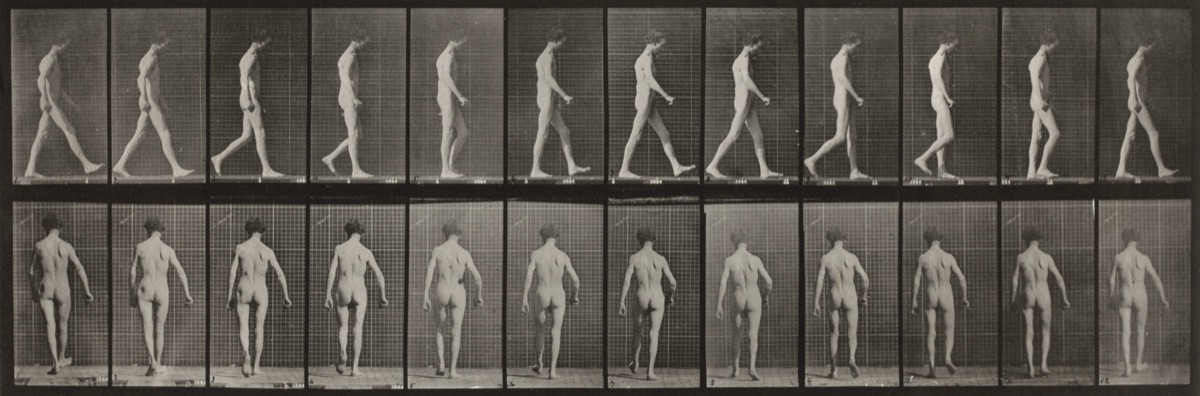 Plate Number 546. Locomotor ataxia, walking — Eadweard Muybridge