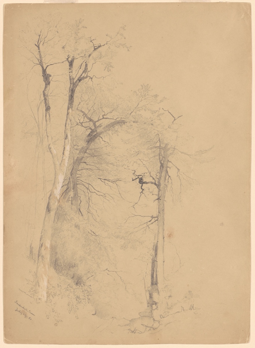 Kauterskill Clove — Jervis McEntee