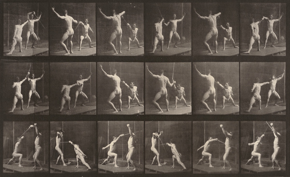 Plate Number 350. Fencing — Eadweard Muybridge