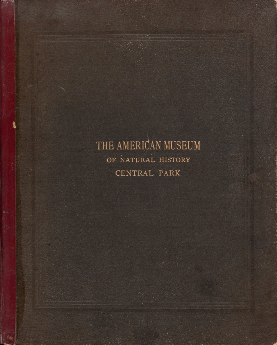 The Photographic Album of the American Museum of Natural History, Central Park, New York City — Victor Prevost, Gaston L. Feuardent & Co., New York
