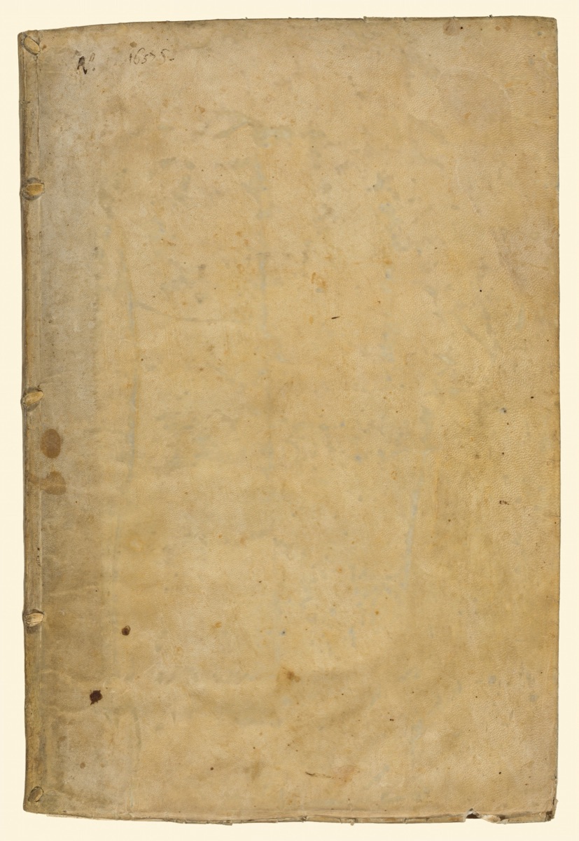 Feste celebrate in Napoli per la nascita del serenissimo prencipe di Spagna — Andrea Cirino (author), Nicolas Perrei (engraver), Jusepe Martinez (engraver)
