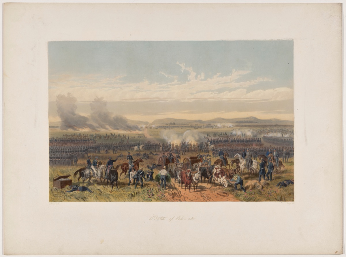 Battle of Palo Alto — Adolphe-Jean-Baptiste Bayot, after Carl Nebel