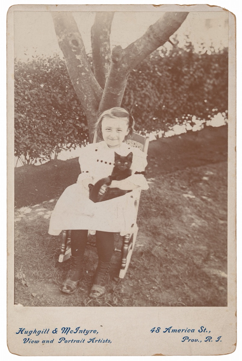Portrait of a Girl and Cat — Hughgill & McIntyre