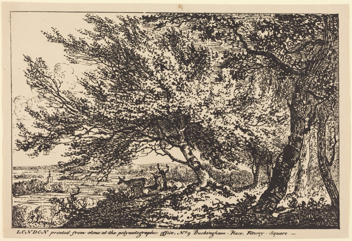 Landscape with Deer under Trees — John Laporte