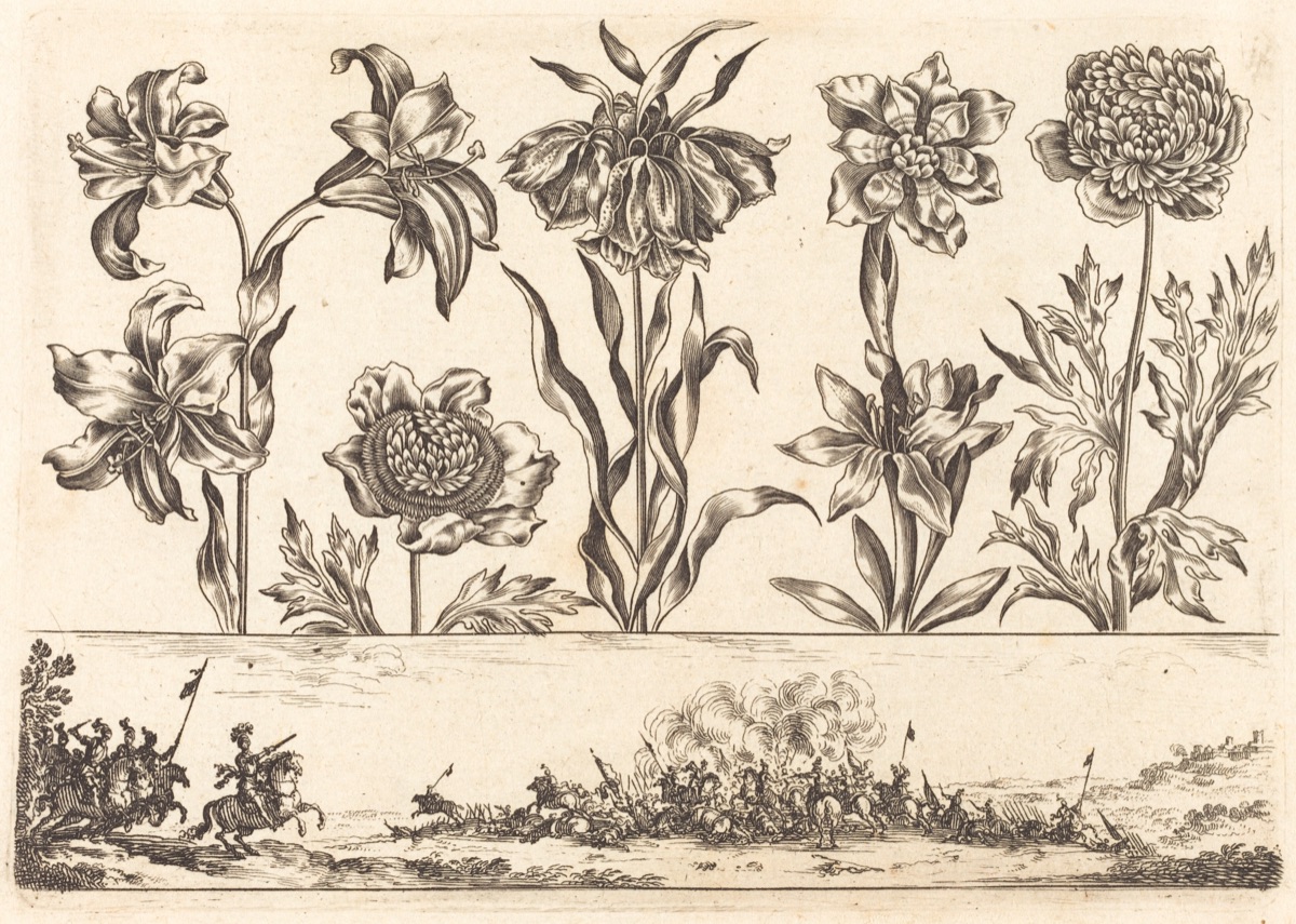 Flower Print no.8 — Nicolas Cochin after Balthasar Moncornet
