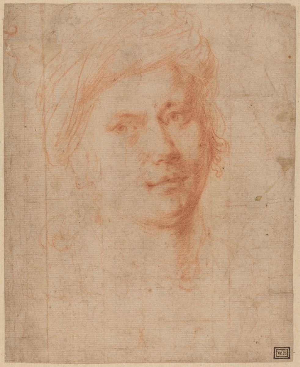 Head of a Youth — Alessandro Allori
