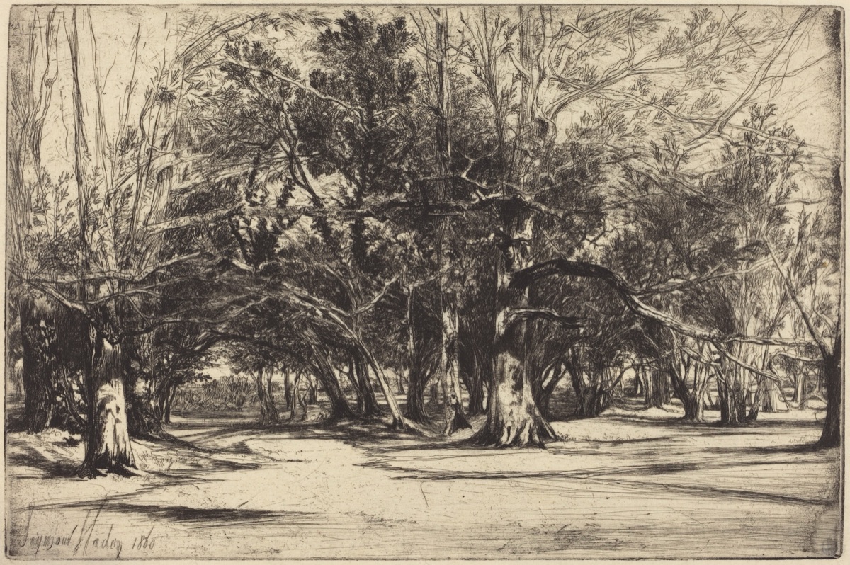 A By-Road in Tipperary — Francis Seymour Haden
