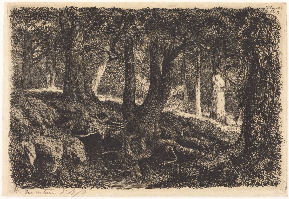 L'arbre aux racines (Tree with Roots) — Eugène Bléry
