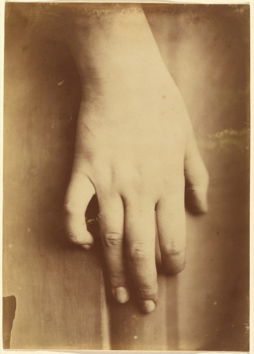 Study of a Hand — European 19th Century