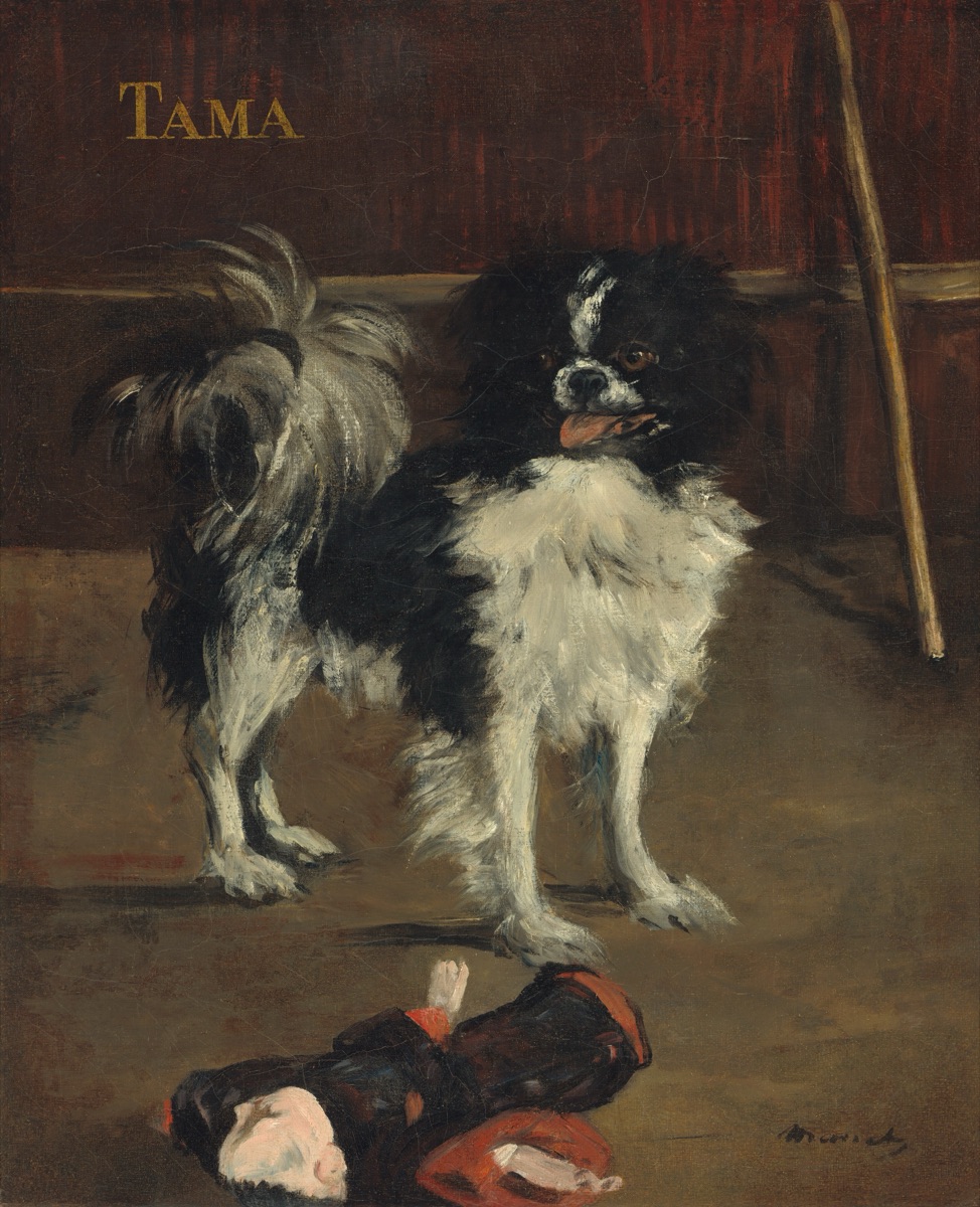 Tama, the Japanese Dog — Edouard Manet