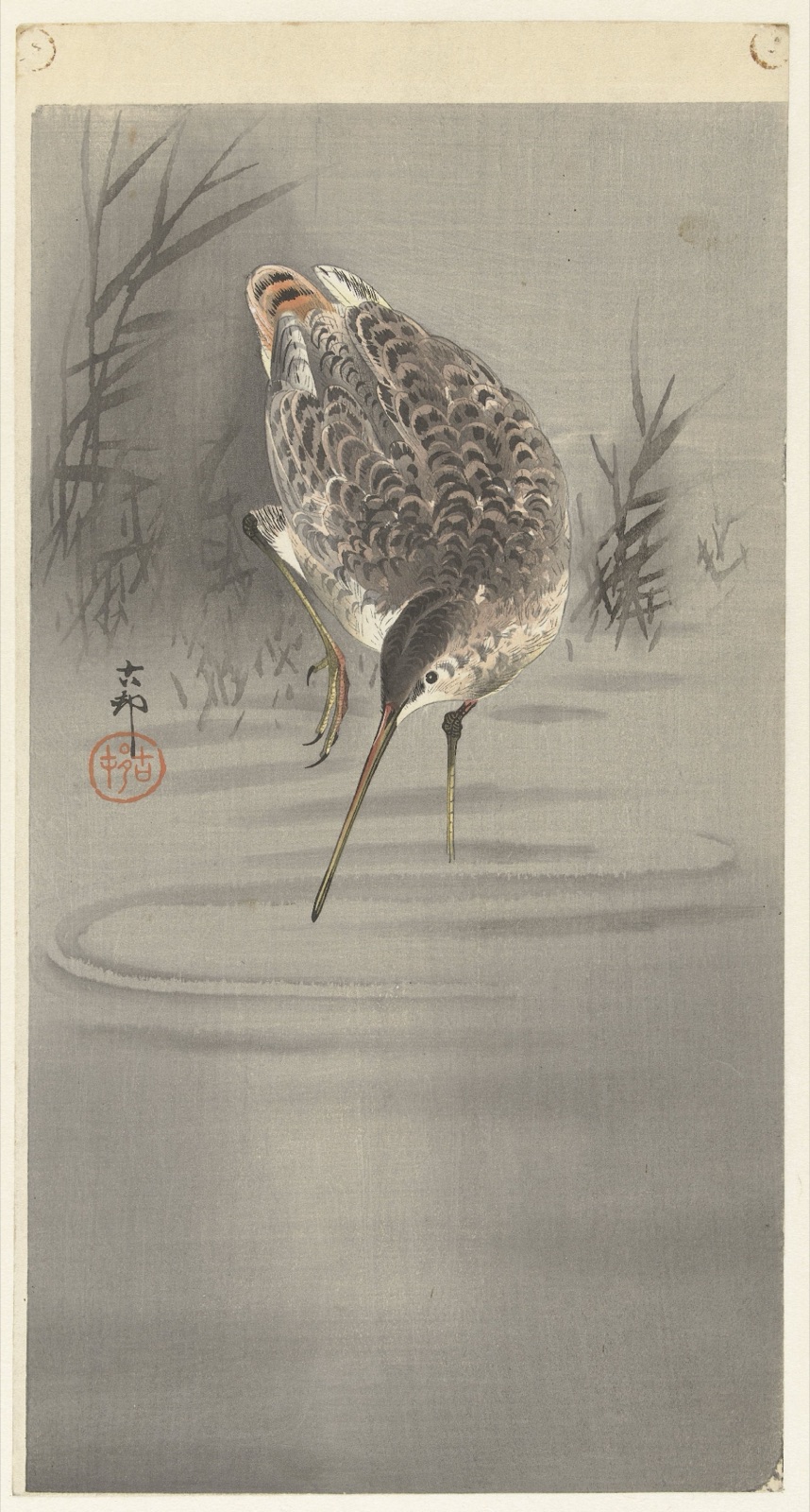 Snip in water — Ohara Koson (printmaker); Matsuki Heikichi (publisher)