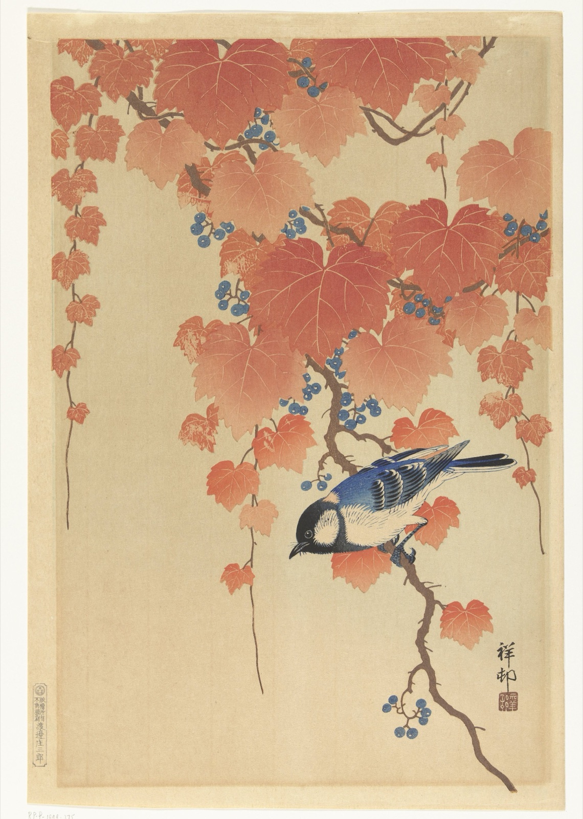 Koolmees op paulownia tak — Ohara Koson (printmaker); Watanabe Shōzaburō (publisher)