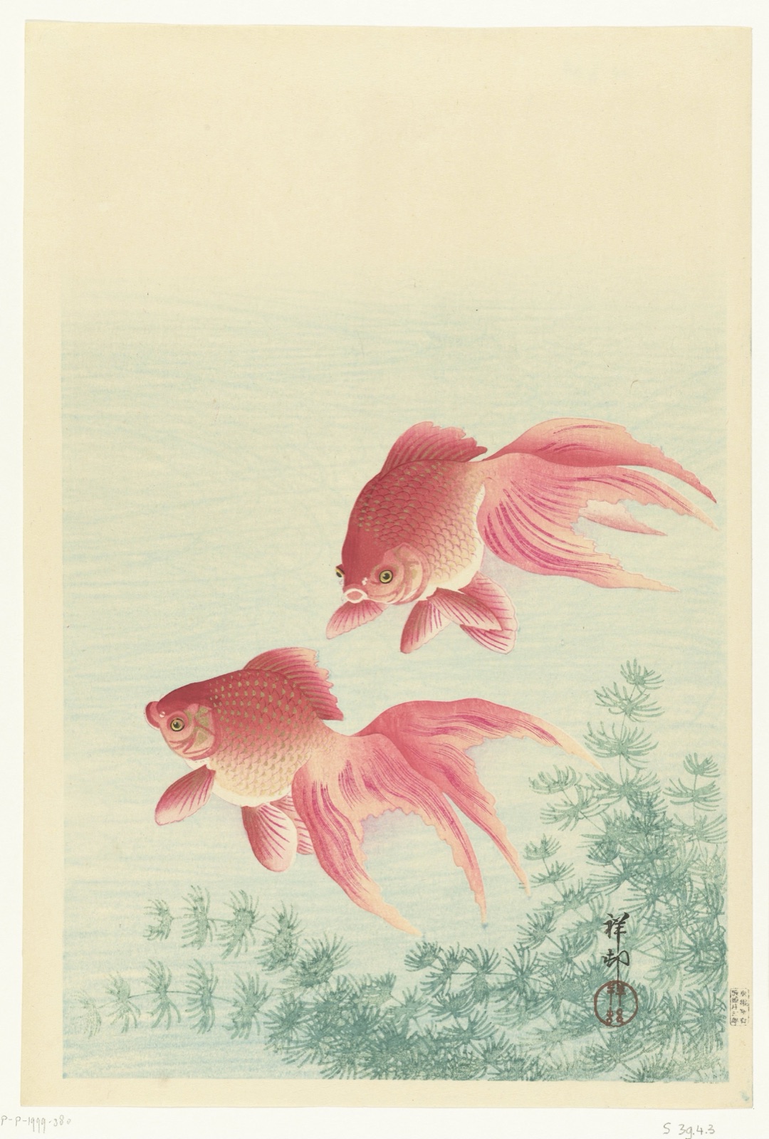 Twee sluierstaart goudvissen — Watanabe Shōzaburō (publisher); Ohara Koson (printmaker)