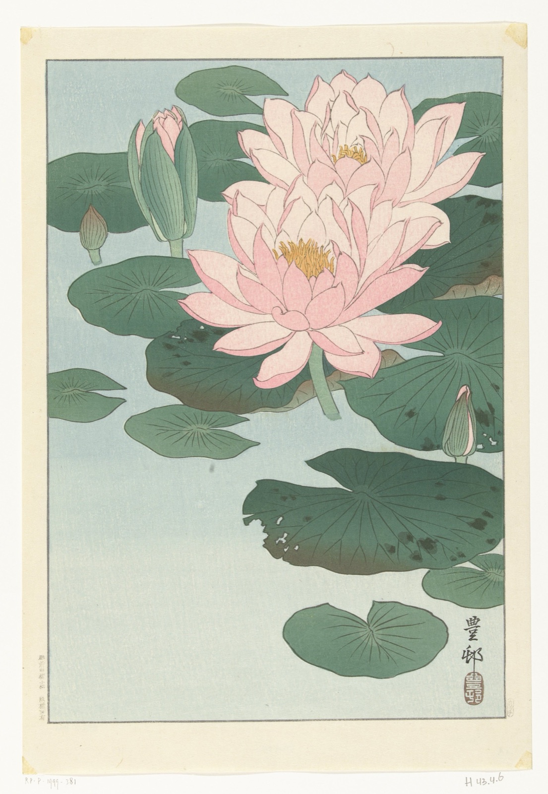 Flowering Water Lily — Ohara Koson (printmaker); Kawaguchi (publisher)