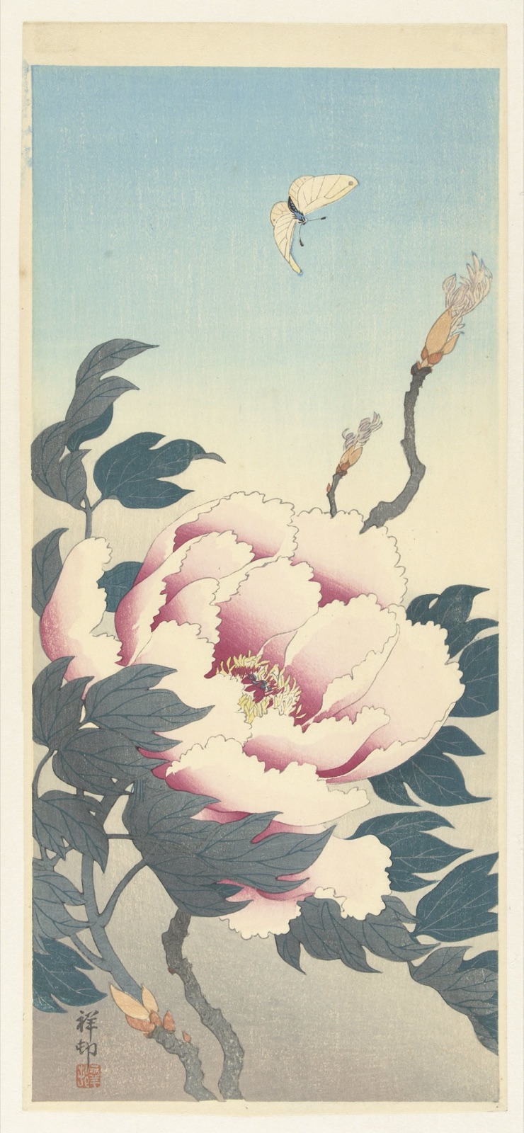 Pioenroos met vlinder — Watanabe Shōzaburō (publisher); Ohara Koson (printmaker)