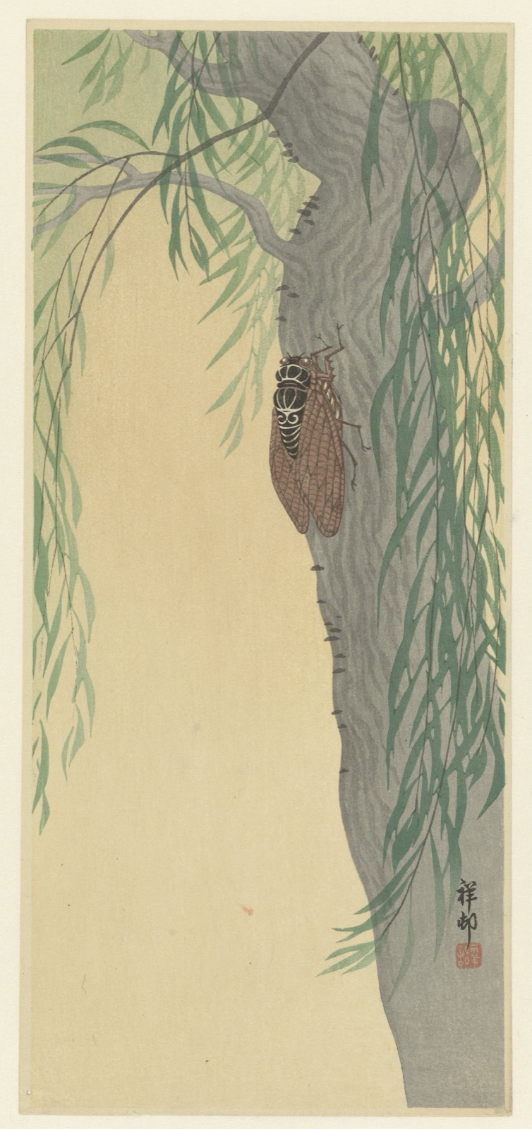 Cicade op boom — Watanabe Shōzaburō (publisher); Ohara Koson (printmaker)